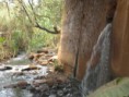 /album/corrego-agua-branca/imagem-156-jpg/